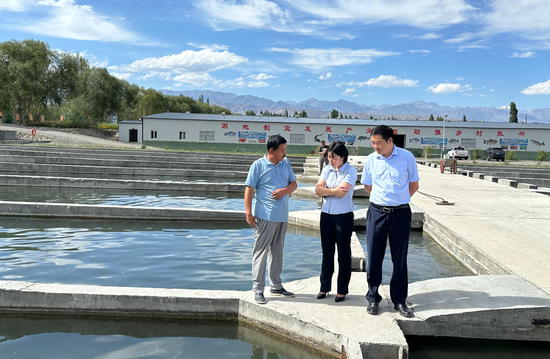 图为6月12日,阿克苏塔里木农商银行工作人员在乌什县峻鼎渔业公司调研。 董鹏飞 摄 图为6月12日,阿克苏塔里木农商银行工作人员在乌什县峻鼎渔业公司调研。 董鹏飞 摄