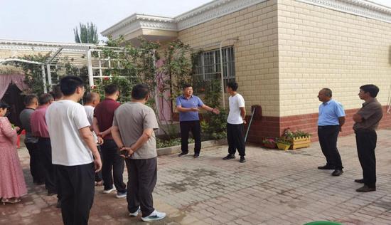 学习庭院果蔬布局改造经验。 学习庭院果蔬布局改造经验。