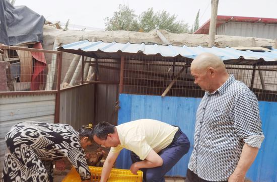 工作队员为村民发放鸡苗。 工作队员为村民发放鸡苗。