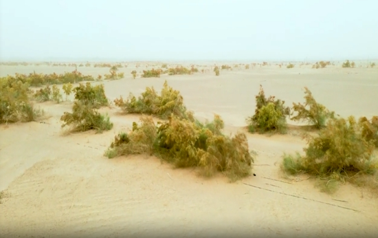 3d273d1f9a2ad2cafae6e4edabfafcfc