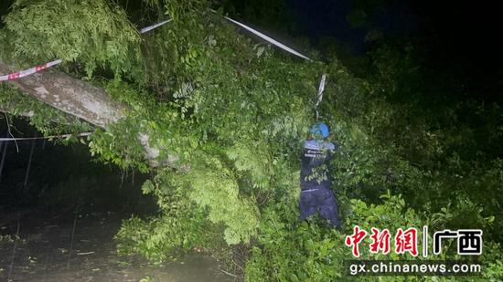 保障人员徒手清理因台风倒塌的树枝。路乐园 摄 保障人员徒手清理因台风倒塌的树枝。路乐园 摄