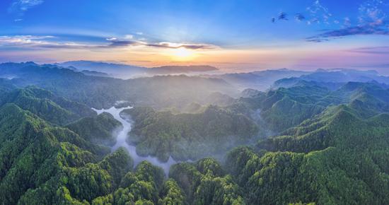 林业摄影大赛。社会组--尹刚--《宽阔水。四季》组图1春季- 林业摄影大赛。社会组--尹刚--《宽阔水。四季》组图1春季-