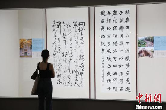 图为现场观众参观展览。中新网记者 朱晨曦 摄 图为现场观众参观展览。中新网记者 朱晨曦 摄