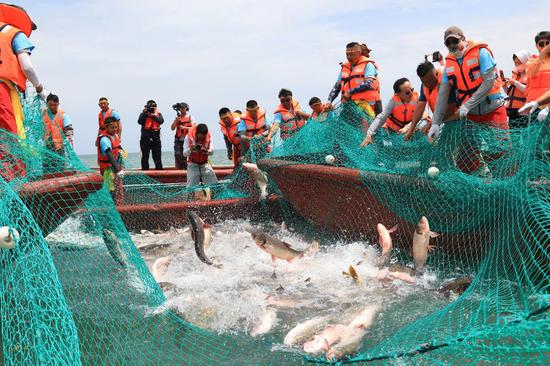 5b60c9c899ebd74ceffc3bcb1dea12ae