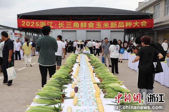 活动现场。浙江省农业农村厅 供图