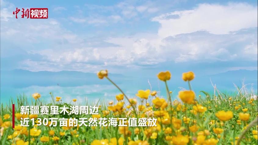 新疆：赛里木湖罕见“花粉入湖”奇观