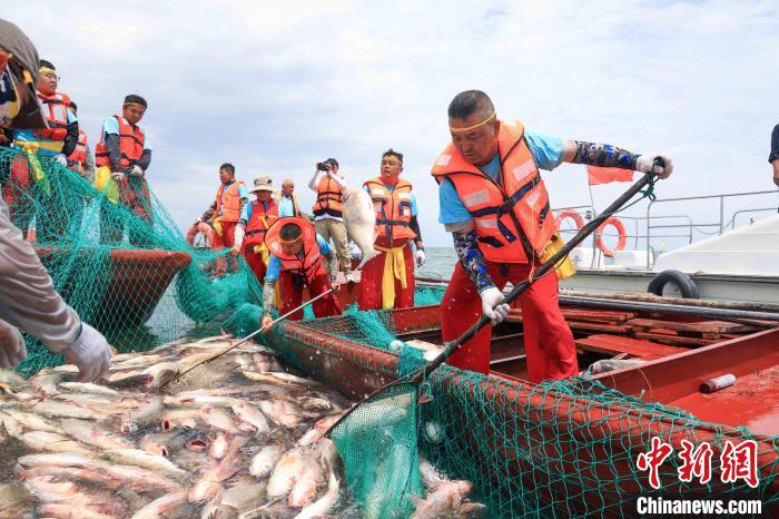 新疆博斯腾湖迎“开湖季” 巨网捕鱼庆丰收