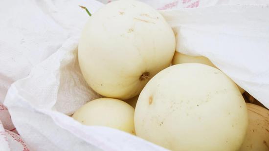 钟嘉欣 摄