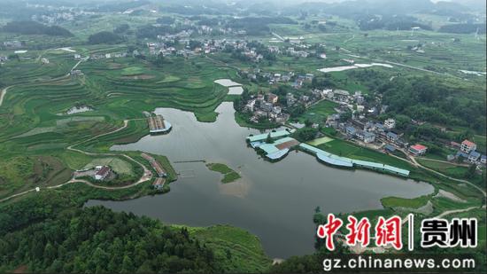 黄板镇小湾村珍珠蚌养殖基地 黄板镇小湾村珍珠蚌养殖基地