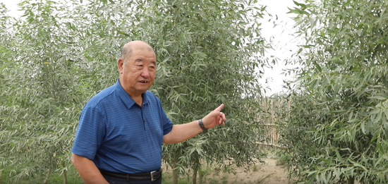李鹏介绍新栽种的树种。李凌燕 摄