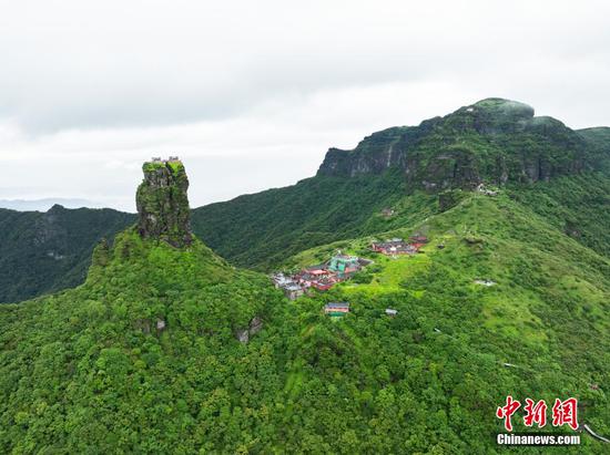 6月26日，贵州铜仁，航拍雨后梵净山青山翠绿，云雾弥漫，宛如仙境。（无人机照片）