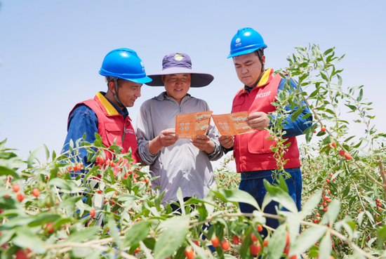 国网和田供电公司员工走进和田县枸杞种植基地对机井灌溉用电情况进行巡查,并开展安全用电知识宣传。王瑞 摄 国网和田供电公司员工走进和田县枸杞种植基地对机井灌溉用电情况进行巡查,并开展安全用电知识宣传。王瑞 摄