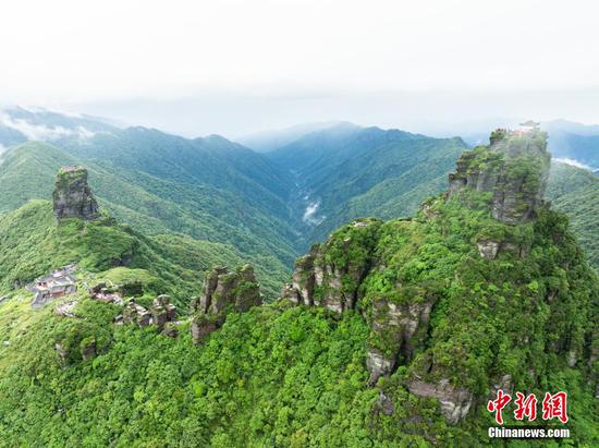 6月26日，贵州铜仁，航拍雨后梵净山青山翠绿，云雾弥漫，宛如仙境。（无人机照片）