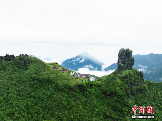 6月26日，贵州铜仁，航拍雨后梵净山青山翠绿，云雾弥漫，宛如仙境。（无人机照片）