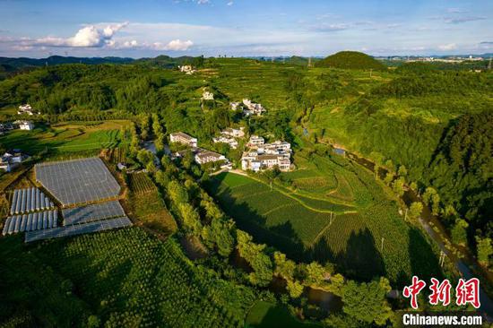 图为6月28日航拍黔西市洪水镇田园风光。史开心 摄 图为6月28日航拍黔西市洪水镇田园风光。史开心 摄