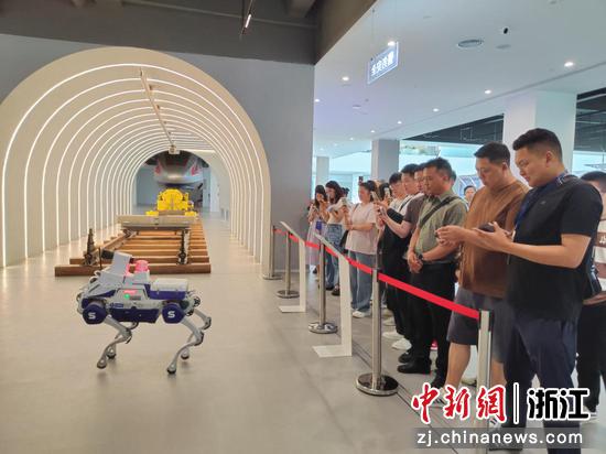 活动现场。 主办方 供图