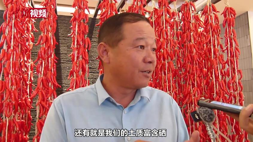 新疆“中国辣椒之乡”打造特色产业助农增收