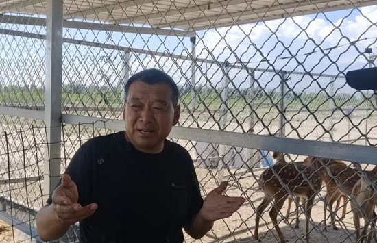 程进疆为记者介绍合作社养殖的特禽品种。刘丽姗 摄 程进疆为记者介绍合作社养殖的特禽品种。刘丽姗 摄