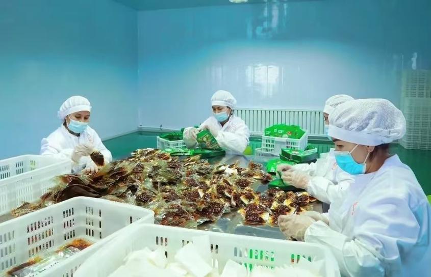 新疆察布查我县：企业“小品牌”带去经济“除夜效应”