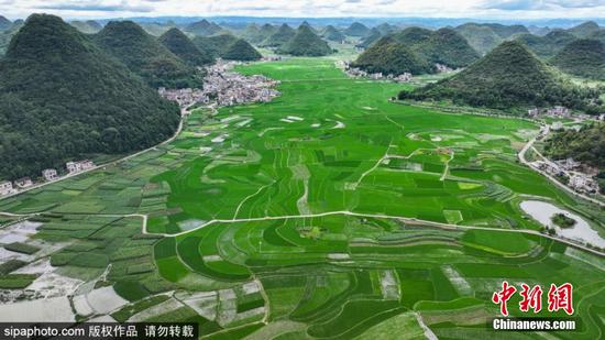 7月2日，贵州省<a href=http://www.gzculture.net target=_blank class=infotextkey>黔西南</a>布依族苗族自治州安龙县招堤街道海庄村田园景色。