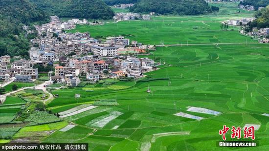 7月2日，贵州省<a href=http://www.gzculture.net target=_blank class=infotextkey>黔西南</a>布依族苗族自治州安龙县招堤街道海庄村田园景色。