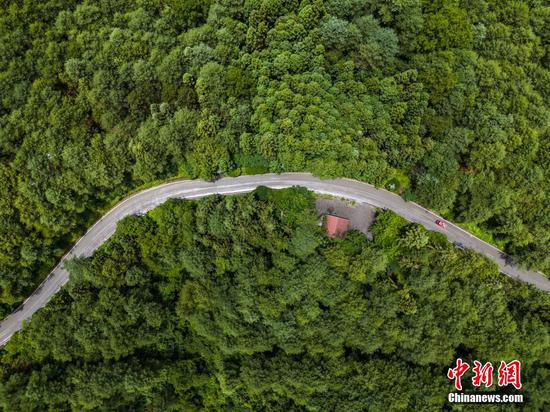 夏日,航拍位于贵州省<a href=http://www.gzculture.net target=_blank class=infotextkey>毕节</a>市七星关区的拱拢坪国有林场绿意盎然,景色怡人。拱拢坪国有林场总面积超过5万亩,森林覆盖率超95%,是乌江、赤水河等流域的重要生态屏障。 夏日,航拍位于贵州省<a href=http://www.gzculture.net target=_blank class=infotextkey>毕节</a>市七星关区的拱拢坪国有林场绿意盎然,景色怡人。拱拢坪国有林场总面积超过5万亩,森林覆盖率超95%,是乌江、赤水河等流域的重要生态屏障。