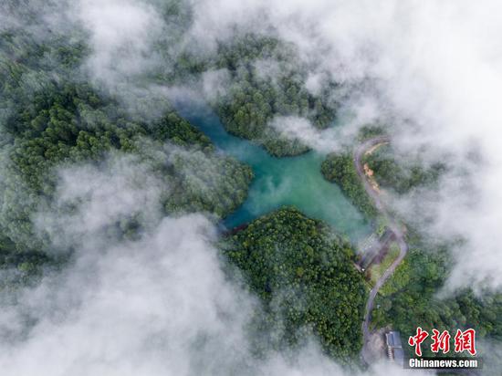 夏日,航拍位于贵州省<a href=http://www.gzculture.net target=_blank class=infotextkey>毕节</a>市七星关区的拱拢坪国有林场绿意盎然,景色怡人。拱拢坪国有林场总面积超过5万亩,森林覆盖率超95%,是乌江、赤水河等流域的重要生态屏障。 夏日,航拍位于贵州省<a href=http://www.gzculture.net target=_blank class=infotextkey>毕节</a>市七星关区的拱拢坪国有林场绿意盎然,景色怡人。拱拢坪国有林场总面积超过5万亩,森林覆盖率超95%,是乌江、赤水河等流域的重要生态屏障。
