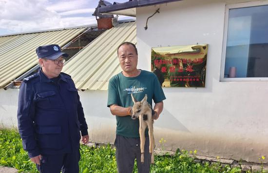 用相宜的护士护士格式