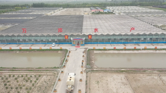 突破才气现古无人能出其左