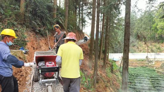 图为修建、硬化进出茶园的山路。 韦宇雄 供图 图为修建、硬化进出茶园的山路。 韦宇雄 供图