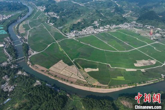 7月8日,航拍镜头下的贵州省黔南布依族苗族自治州贵定县盘江镇金海坝区绿意盎然,水稻长势喜人,与村庄、道路、河流交相辉映,构成一幅夏日秀美的乡村画卷。(无人机照片)中新社记者 瞿宏伦 摄 7月8日,航拍镜头下的贵州省黔南布依族苗族自治州贵定县盘江镇金海坝区绿意盎然,水稻长势喜人,与村庄、道路、河流交相辉映,构成一幅夏日秀美的乡村画卷。(无人机照片)中新社记者 瞿宏伦 摄