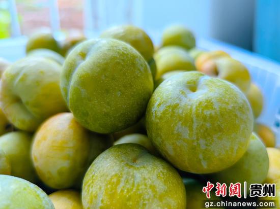 待打包的蜂糖李。 待打包的蜂糖李。