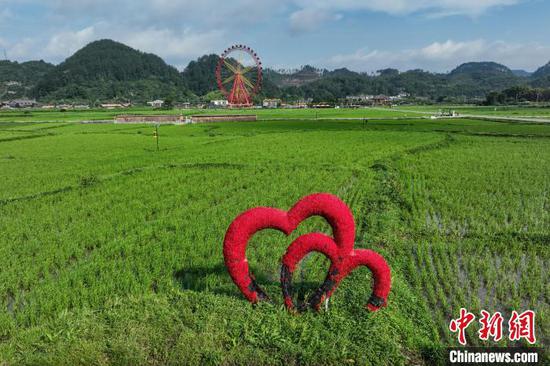 7月8日,航拍镜头下的贵州省黔南布依族苗族自治州贵定县盘江镇金海坝区绿意盎然,水稻长势喜人,与村庄、道路、河流交相辉映,构成一幅夏日秀美的乡村画卷。(无人机照片)中新社记者 瞿宏伦 摄 7月8日,航拍镜头下的贵州省黔南布依族苗族自治州贵定县盘江镇金海坝区绿意盎然,水稻长势喜人,与村庄、道路、河流交相辉映,构成一幅夏日秀美的乡村画卷。(无人机照片)中新社记者 瞿宏伦 摄