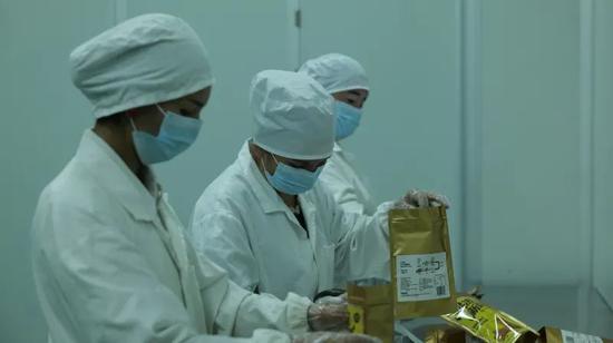 新疆远翔农业科技有限公司的工人们正在打包冻干订单。