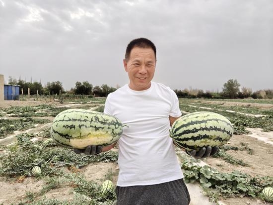 瓜农王庆海和他的西瓜 艾柯代·麦麦提敏摄 瓜农王庆海和他的西瓜 艾柯代·麦麦提敏摄