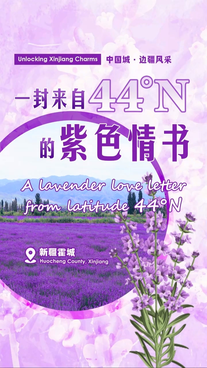 Unlocking Xinjiang Charms | A lavender love letter from latitude 44°N