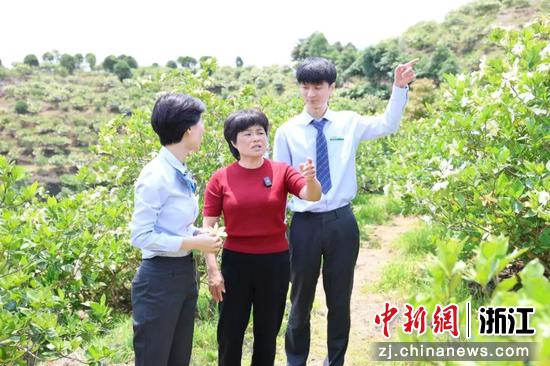 农行浙江温州永嘉碧莲支行金融专员在栀子花基地走访调研。 谢尚聘 供图 农行浙江温州永嘉碧莲支行金融专员在栀子花基地走访调研。 谢尚聘 供图