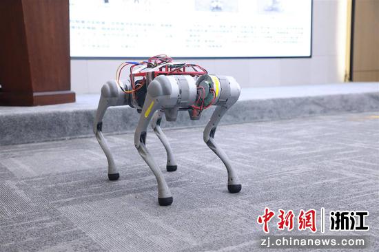四足机器人亮相机器人产业联盟成立仪式。金华开发区 供图