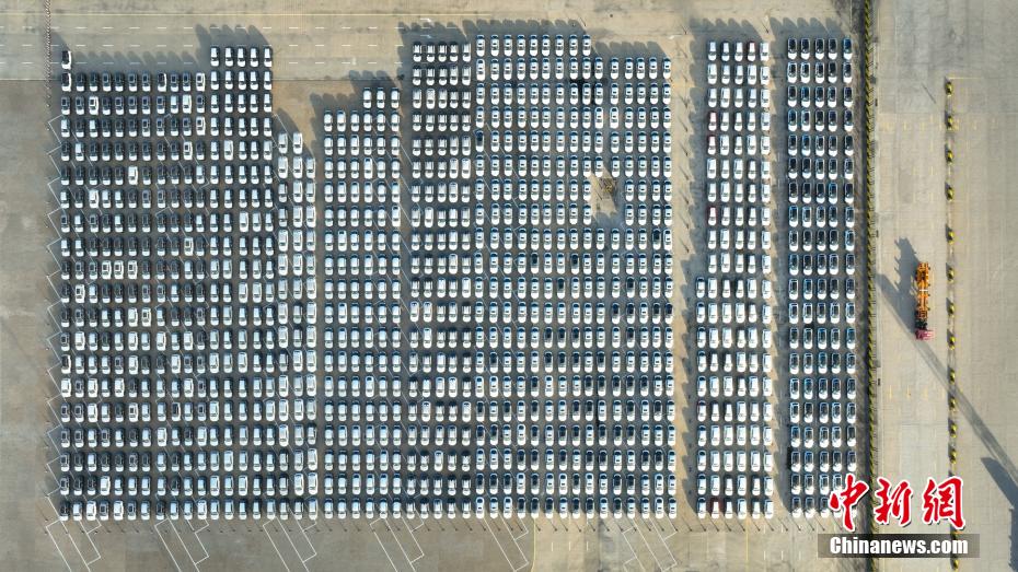 逾千辆中国产汽车“出海”中东