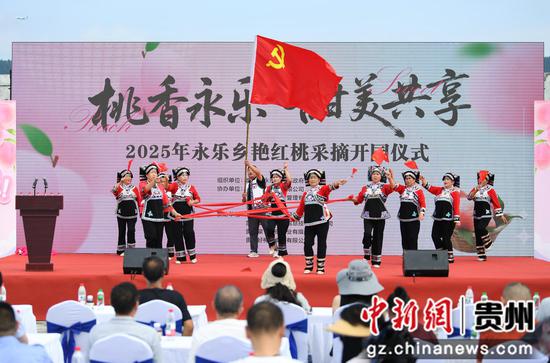 7月18日，贵阳市南明区永乐乡“桃香永乐•甜美共享”2025年艳红桃采摘开园仪式现场。