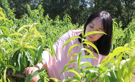 杨涛 摄b