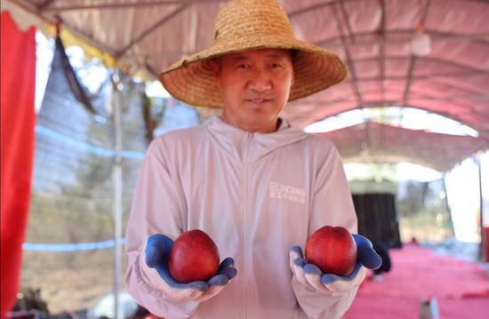 杨涛 摄