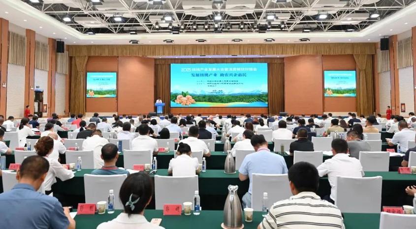 7月19日，2025年核桃产业发展大会暨消费帮扶对接会在喀什召开。喀什地区融媒体中心 记者陈朝 摄