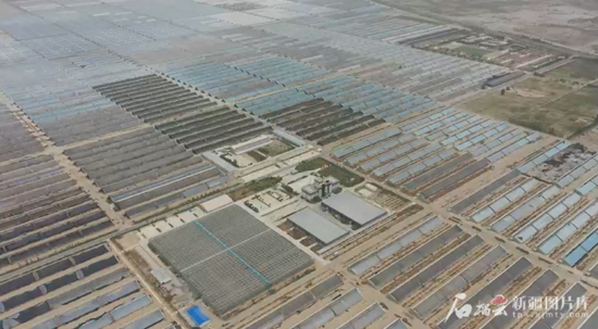 沙漠中的万亩果蔬基地,拱形大棚连绵6.5公里。图/喻瑛提供