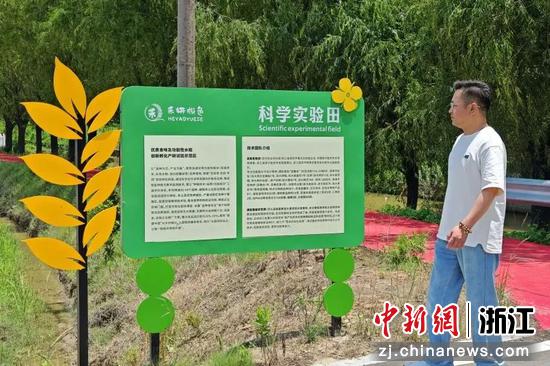 张敏敏在农场检查。南太湖新区 供图 张敏敏在农场检查。南太湖新区 供图