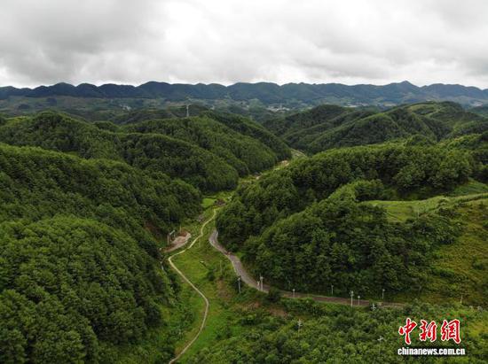 图为7月24日，航拍贵州省毕节市赫章县海雀村万亩林海一隅。 石小杰 摄