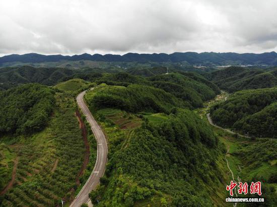 图为7月24日，航拍贵州省毕节市赫章县海雀村万亩林海一隅。 石小杰 摄
