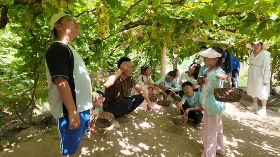 研学团在采摘园了解葡萄的生长过程。伍海燕 摄