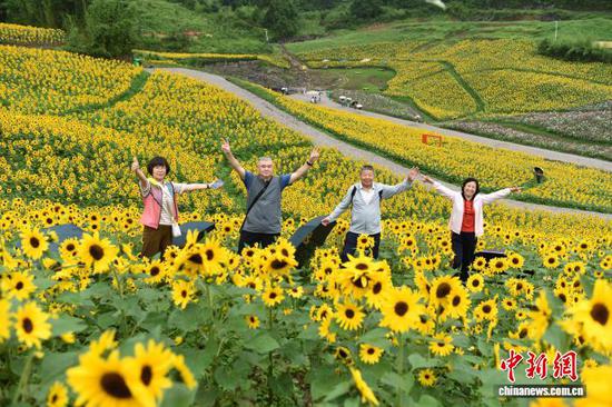 图为7月24日游客在六盘水明湖花谷赏花游玩。黄庆松 摄