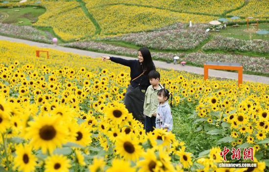 图为7月24日游客在六盘水明湖花谷赏花游玩。黄庆松 摄